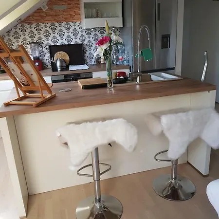 Apartament Luxury Apartman Lublana